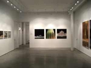 Juliane Eirich installation at Bruce Silverstein Gallery, 2010